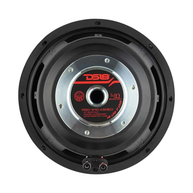 DS18 — DS18 10in 350 Watts RMS 2 ohm Neodymium Cone Woofer - view 1