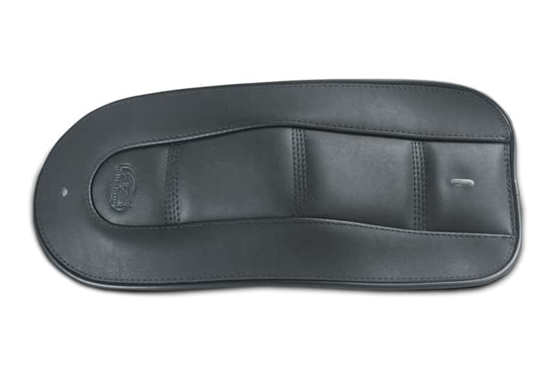 Mustang Motorcycle — Mustang 18-21 Harley Softail Slim Fender Bib - Black - view 1