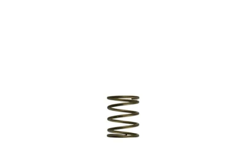 Turbosmart — Turbosmart Gen-V WG45/50 3psi Orange Inner Spring
Inner Spring - view 1