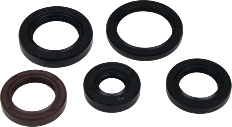 Vertex Pistons — Vertex Gaskets 05-23 Polaris Phoenix 200 Oil Seal Kit - view 1