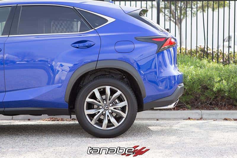 Tanabe — Tanabe NF210 Springs 15-16 Lexus NX200T F-Sport FWD - view 4