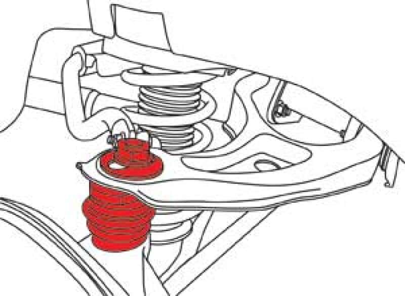 SPC Performance — SPC Performance Acura Rear Adjustable
ADJ. BALL JOINT
ADJ BJ EA - view 4