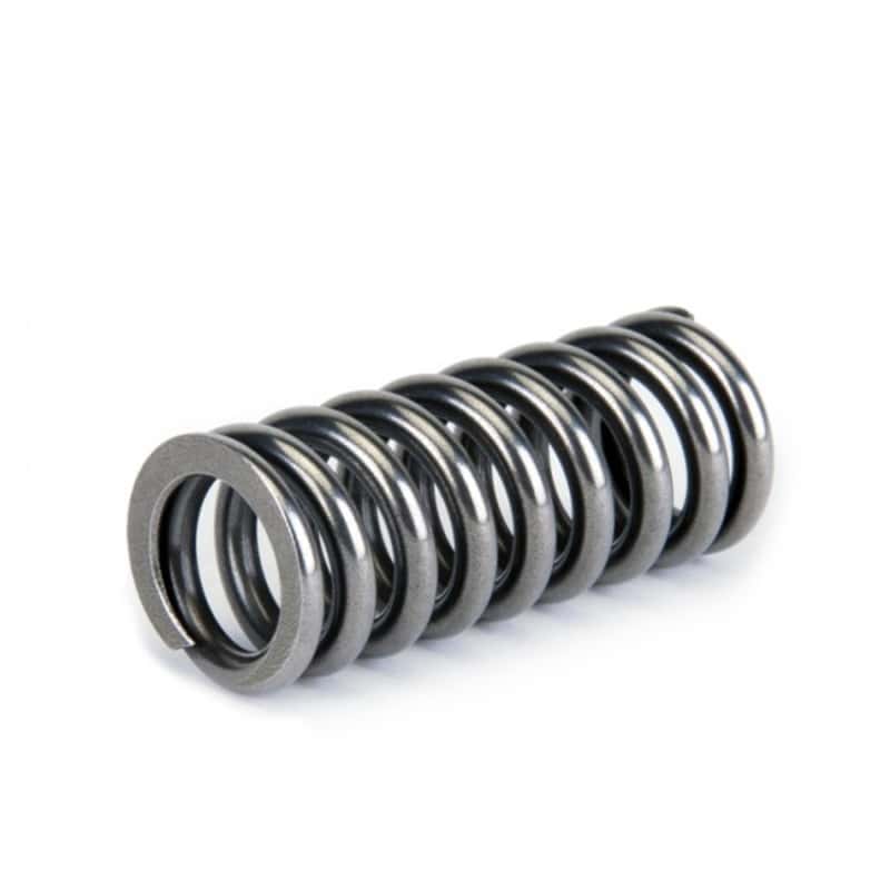 Skunk2 Racing — Skunk2 Alpha Series Honda D Series VTEC Valve Spring Set
Valve Spring Kit - view 6
