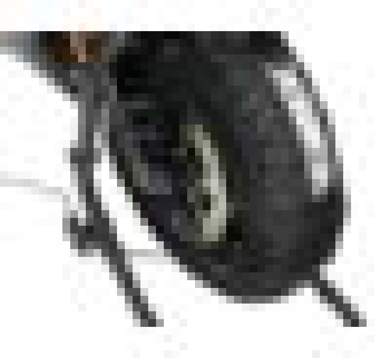 Vortex Racing — Vortex Racing Tire Warmer 180-200 Rear 120-125 Front - view 2