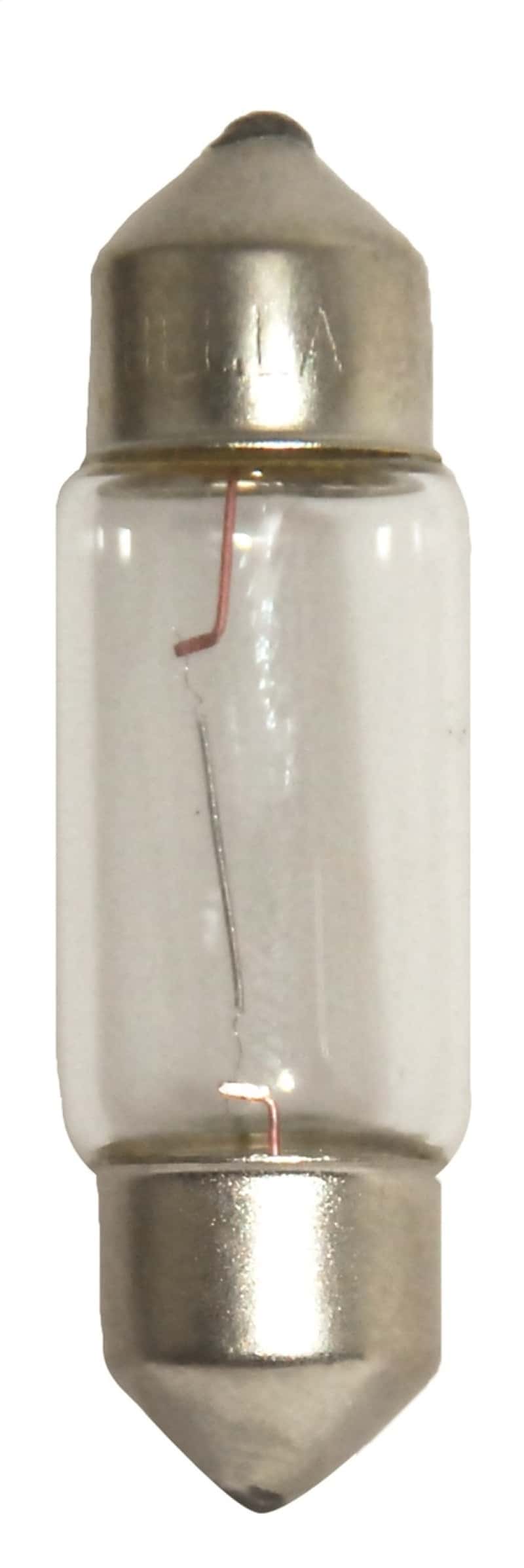 Hella — Hella Bulb 6461 12V 10W SV8.5-8
6461 Incan Bulb - view 1