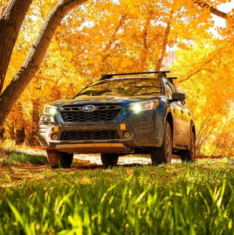 Rival 4x4 — Rival 2020-2026 Subaru Outback including Wilderness  Aluminum Engine Skid Plate
Engine Skid Plate - view 12