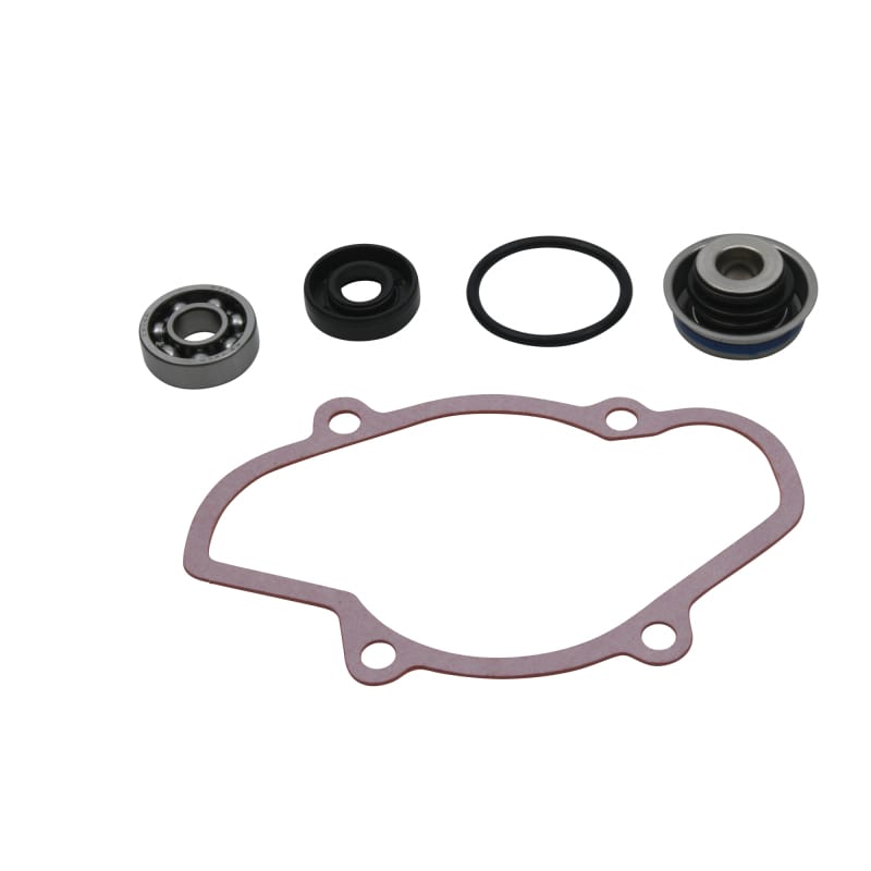 Vertex Pistons — Vertex Gaskets 16-18 Ski-Doo Expedition 800 2-Stroke ETEC Water Pump Rebuild Kit
