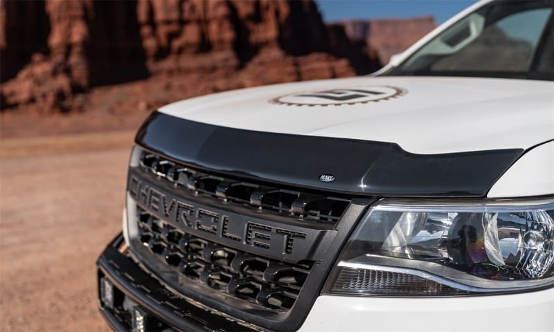 Husky Liners — Aeroskin Hood Protector; Smoke