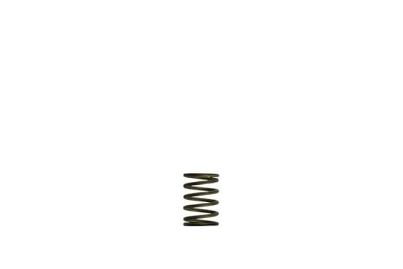 Turbosmart — Gen-V WG38/40 3psi Black Inner Spring