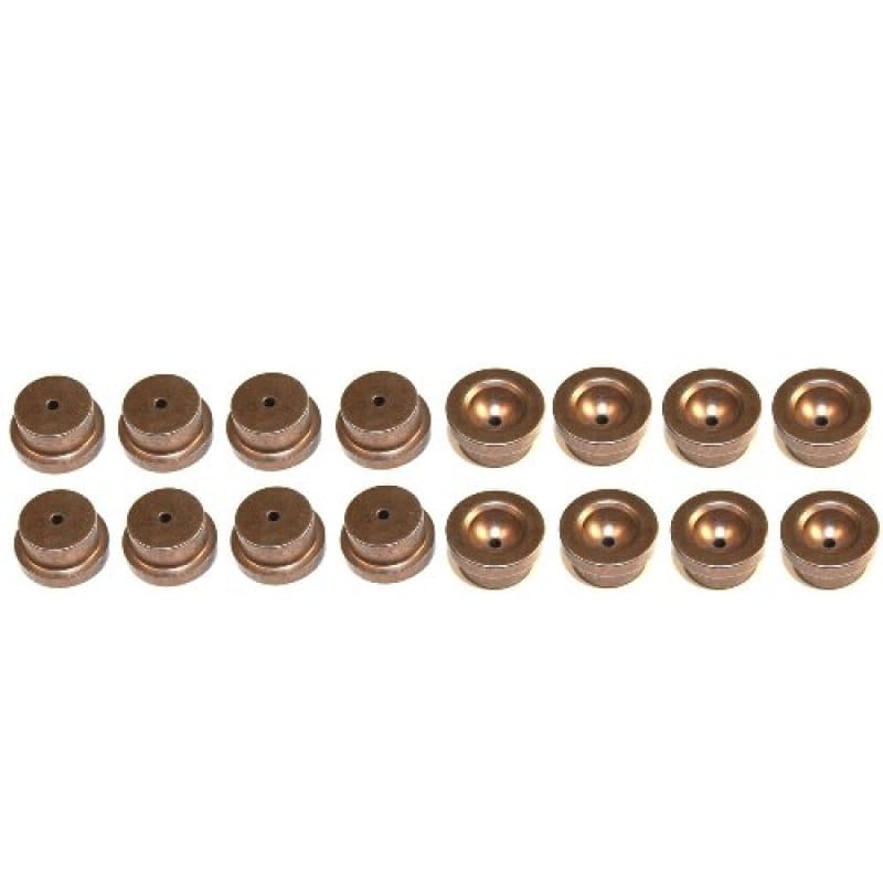 Ford Racing — High Performance Hardened Steel Lifter Cup-Set of 16
High Performance Hardened Steel Lifter Cup Set