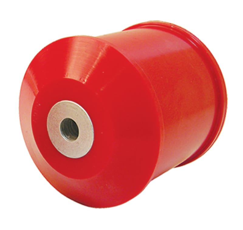 Prothane — SENTRA SE-R RR MTR MNT INSRT 02-06