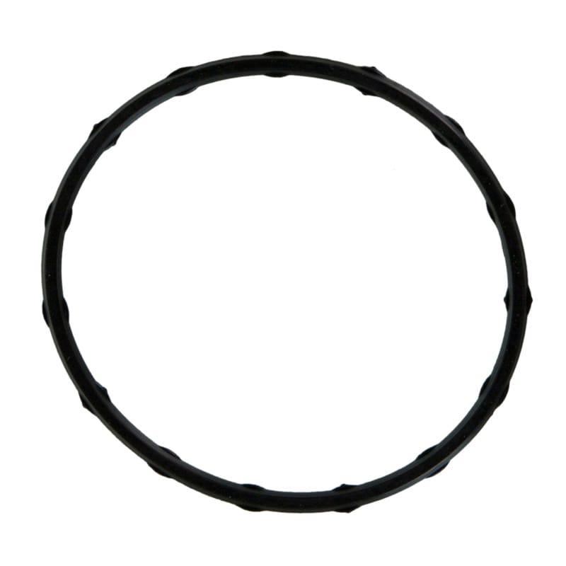 Fel-Pro — Fuel Injection Plenum Gasket Set
