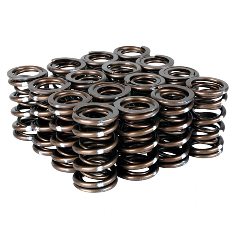 Skunk2 Racing — Pro Series XP Valve Spring Set