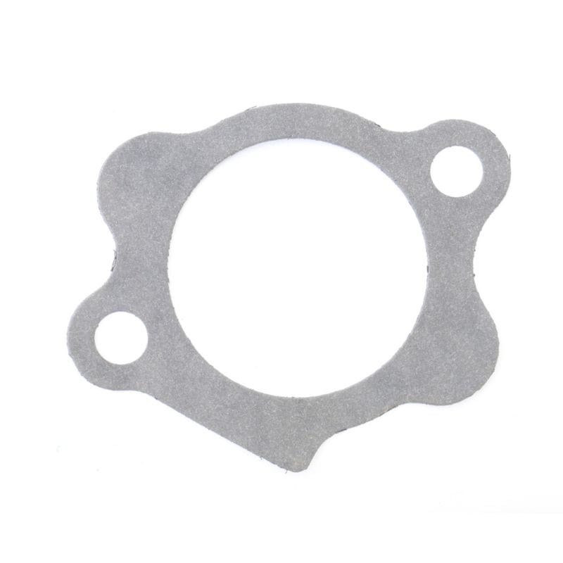 Athena — Athena Harley-Davidson Sportsters Starter Mount Gasket - Set of 10