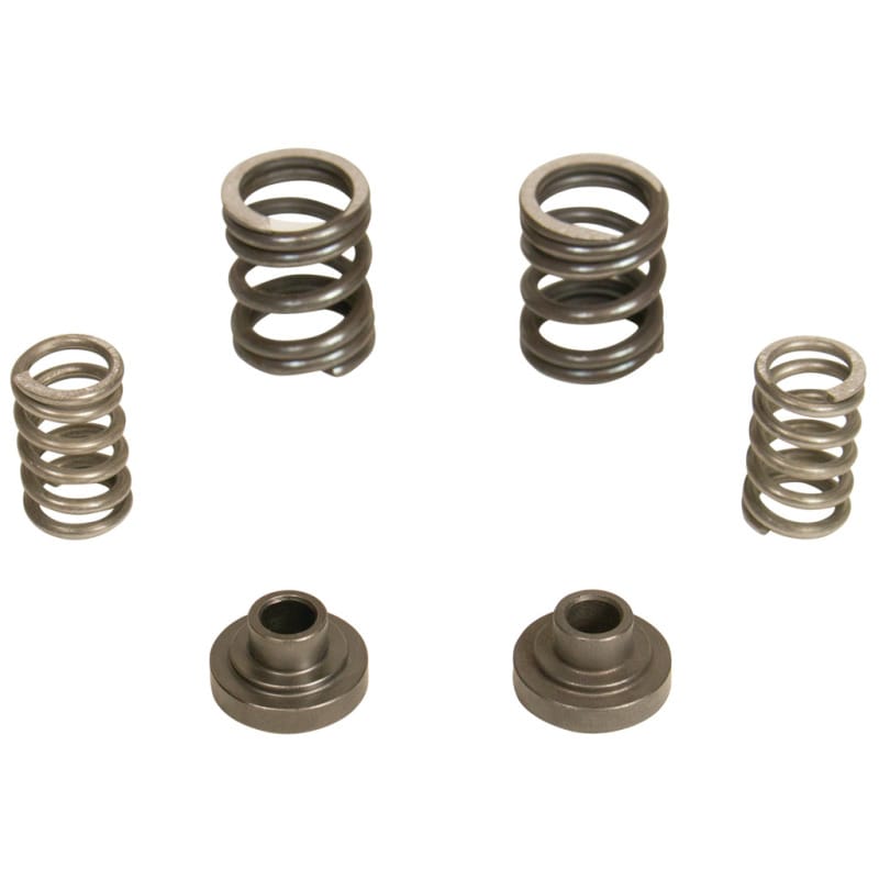 BD Diesel — BD 5.9L Cummins Governor Springs P7100 Pump 3000RPM Dodge 1994-1998 12-valve