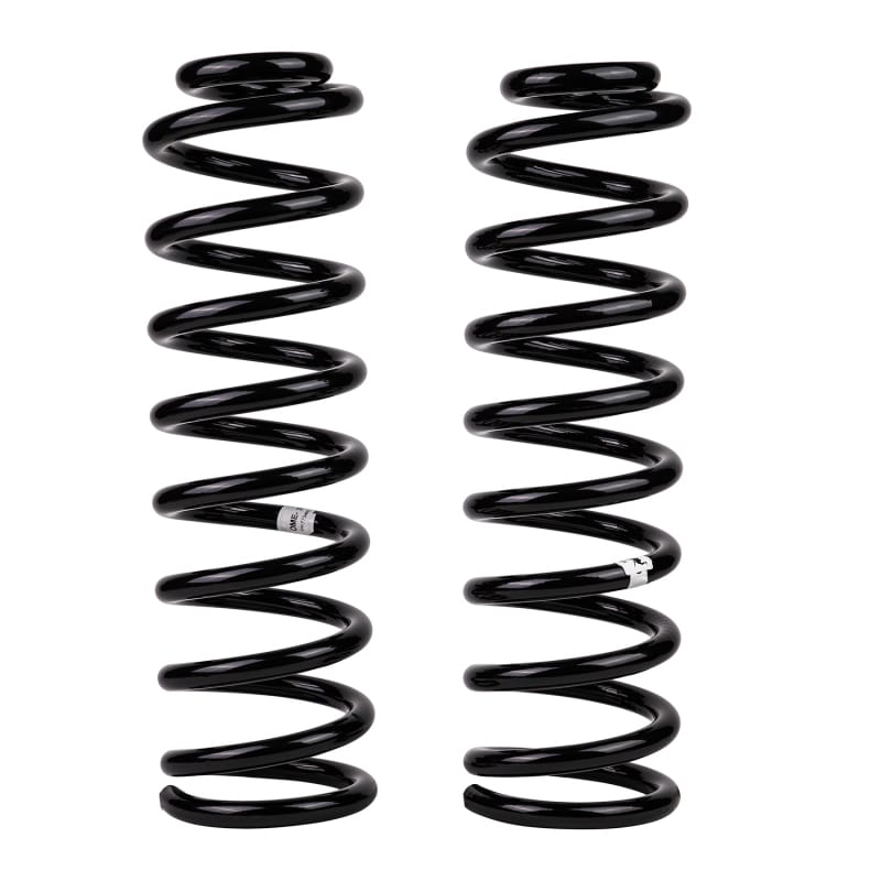 Old Man Emu — Rear Coil Spring Set