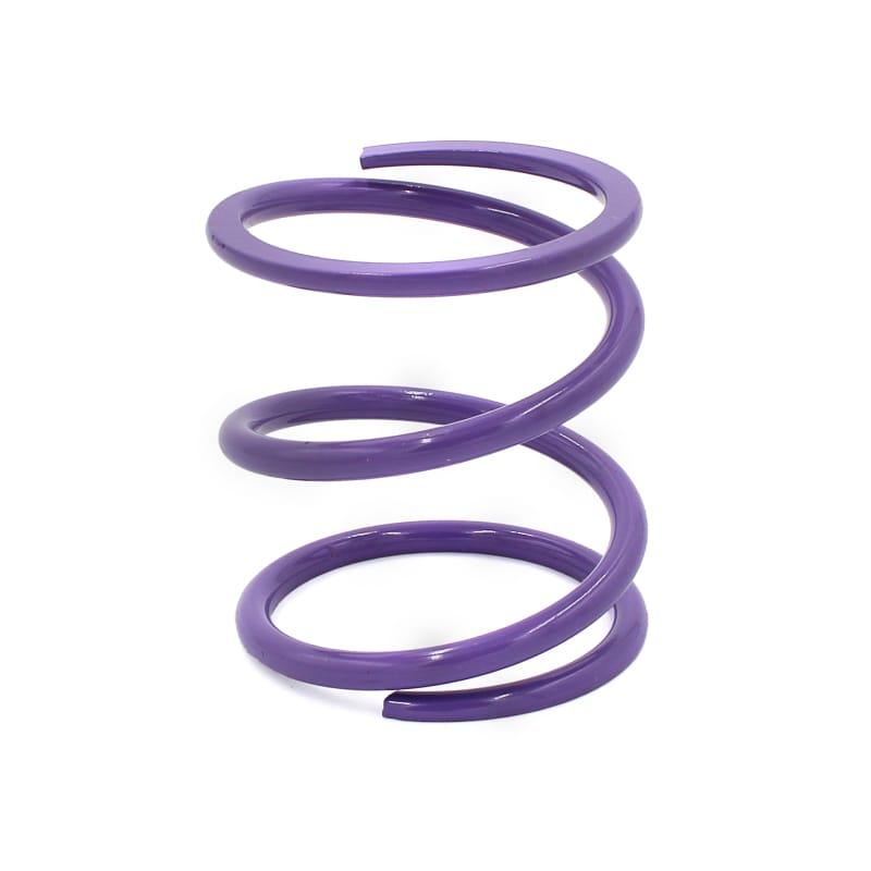 EPI — EPI 24+ Polaris RZR XP 1000/ Xpedition XP/ADV Primary Clutch Spring Purple