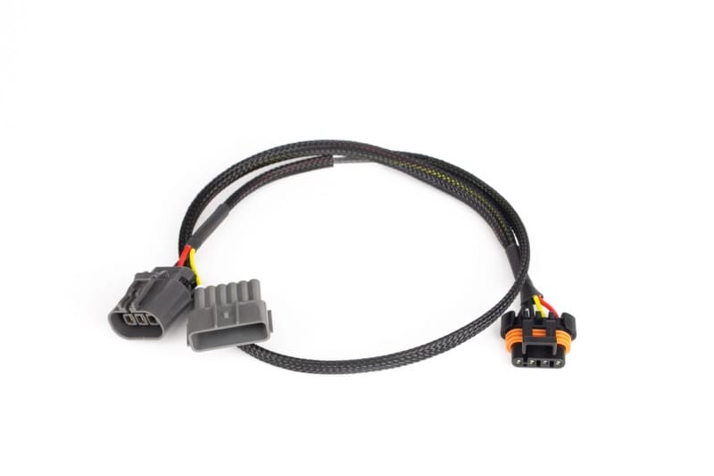 Haltech — Elite 2000/2500 Nissan RB30 LS1 Coil harness and Mount