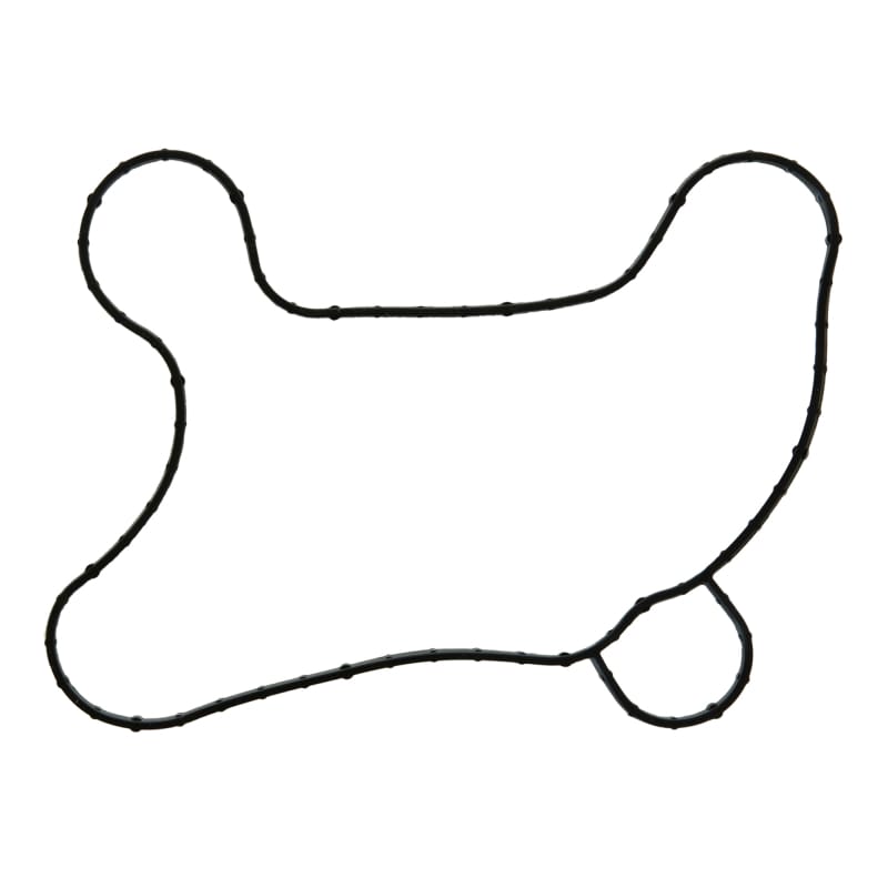 Fel-Pro — Engine Water Pump Gasket