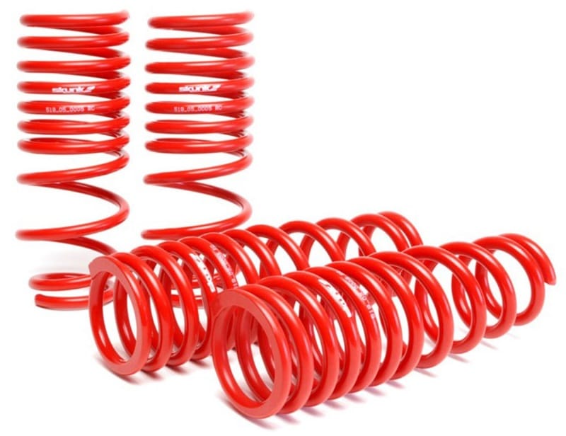 Skunk2 Racing — Lowering Coil Spring Set