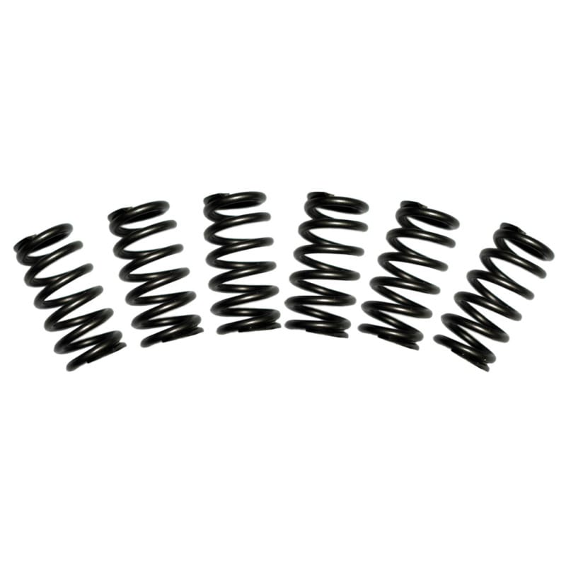 BD Diesel — BD 5.9L Cummins Valve Spring Kit 60lbs Dodge 1988-1998 12-valve
Valve Spring Kit