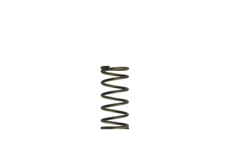 Turbosmart — Gen-V WG60 5psi Inner Spring