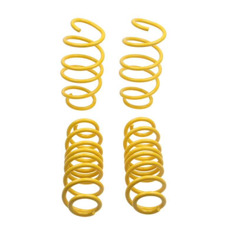 ST Suspensions — OE Quality Multi Coated Steel Alloy Sport Springs
