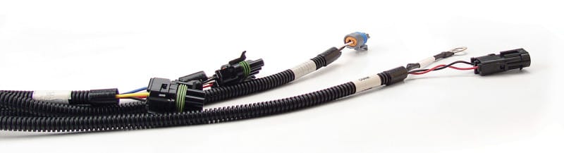 FAST — FAST Wiring Harness FAST Main
Wiring Harness