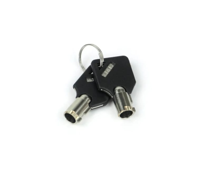 Weigh Safe — Weigh Safe Keys (Requires Key Code) - Set of 2