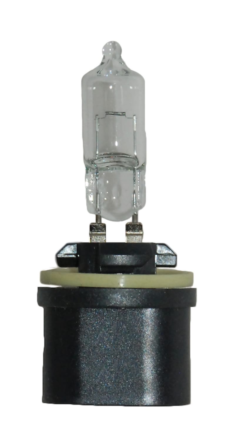 Hella — Hella Bulb 890 12V 27W Pg13 T325
890 Halogen Bulb