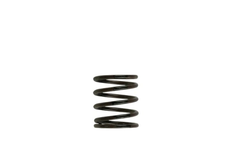Turbosmart — 2011 WG38/40/45 3PSI Inner Spring Brown/Black