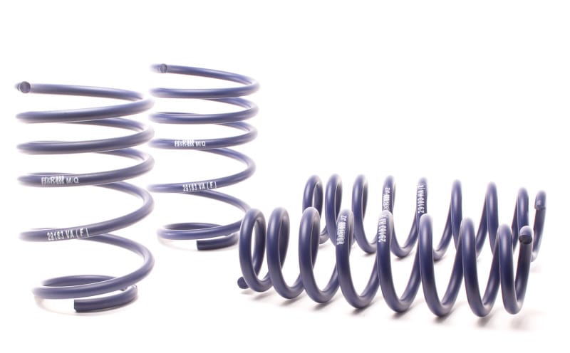 H&R — Race Spring Kit
