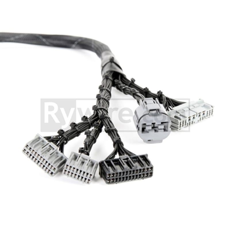 Rywire — Rywire Honda B/D-Series OBD1 Tucked Budget Engine Harness w/OBD1 Dist/Inj/Alt & 92-95 ECU Plugs (Requires Chassis Adapter)