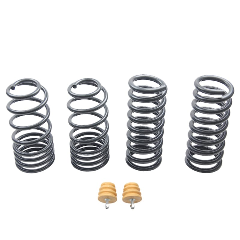 ST Suspensions — OE Quality Multi Coated Steel Alloy Sport Springs