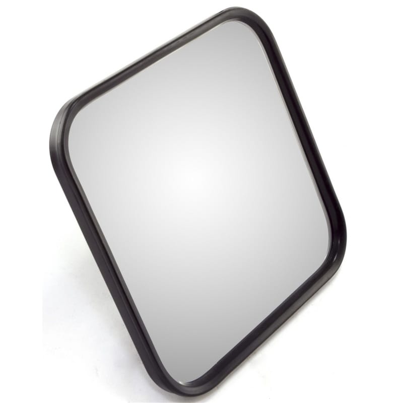 OMIX — Mirror Head