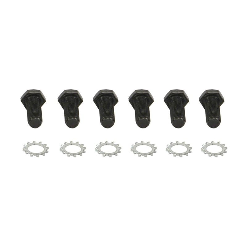 Spectre — Flywheel Bolts