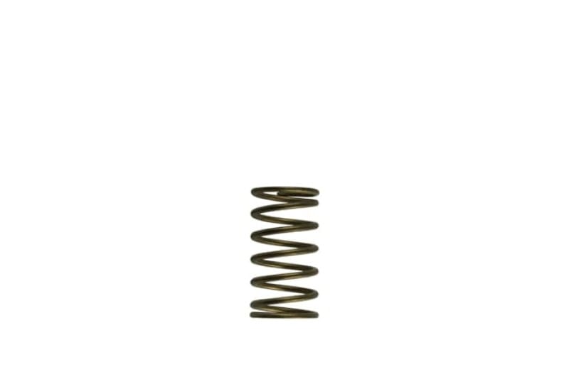 Turbosmart — Gen-V WG60 3psi Inner Spring