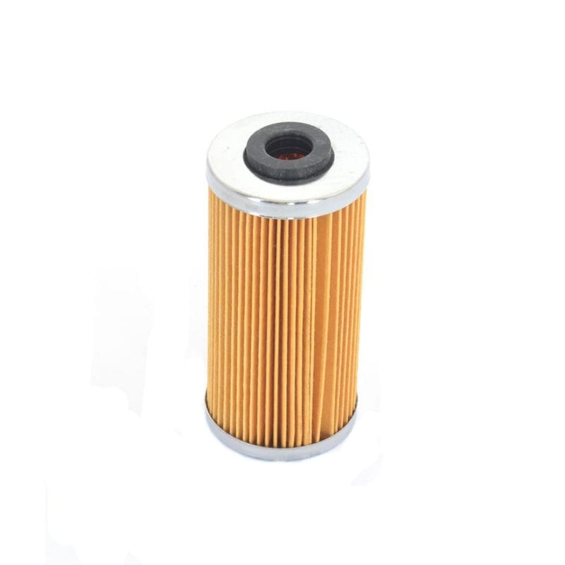 Athena — Athena 09-10 BMW G 450 X 450 Oil Filter
