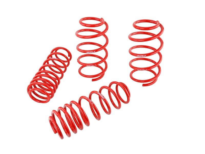 Skunk2 Racing — Lowering Coil Spring Set