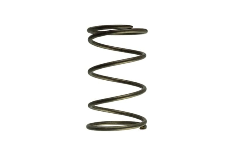 Turbosmart — Gen-V WG60 14psi Inner Spring