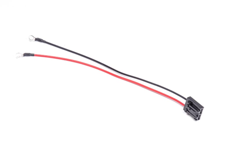 Radium Engineering — Internal harness, Walbro GSS style pump, with ring terminals.