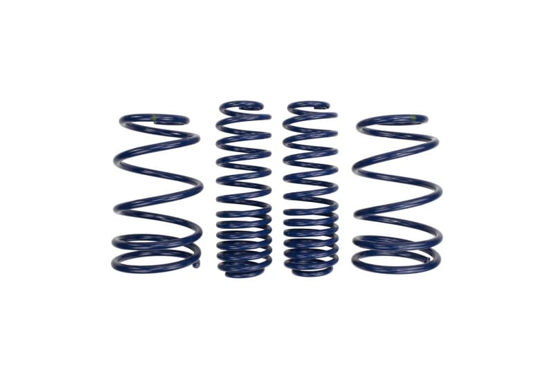 Ford Racing — 2007-2014 Mustang Shelby GT500 Springs
Spring Kit