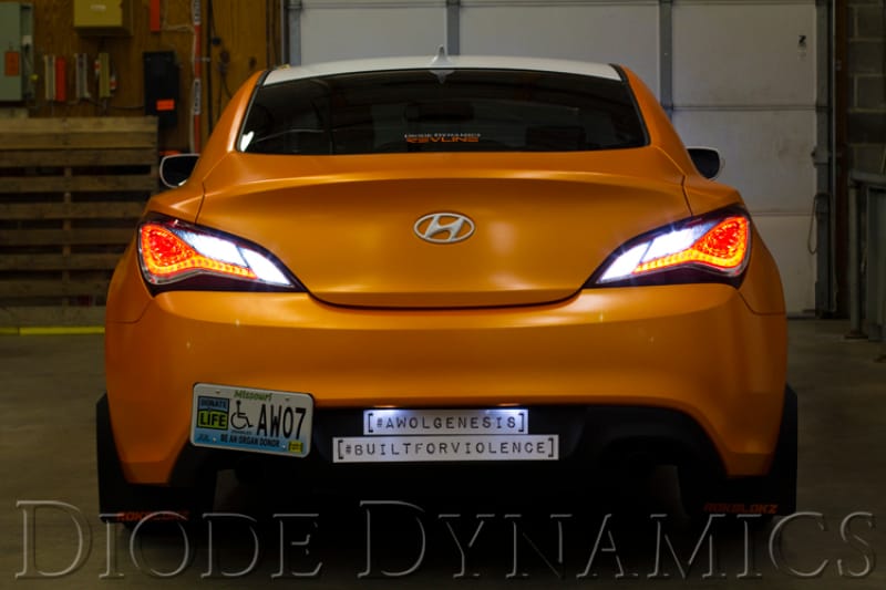 Diode Dynamics — Designed specifically for your vehicle to provide a modern LED appearance.
