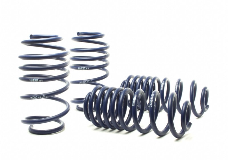 H&R — Race Spring Kit