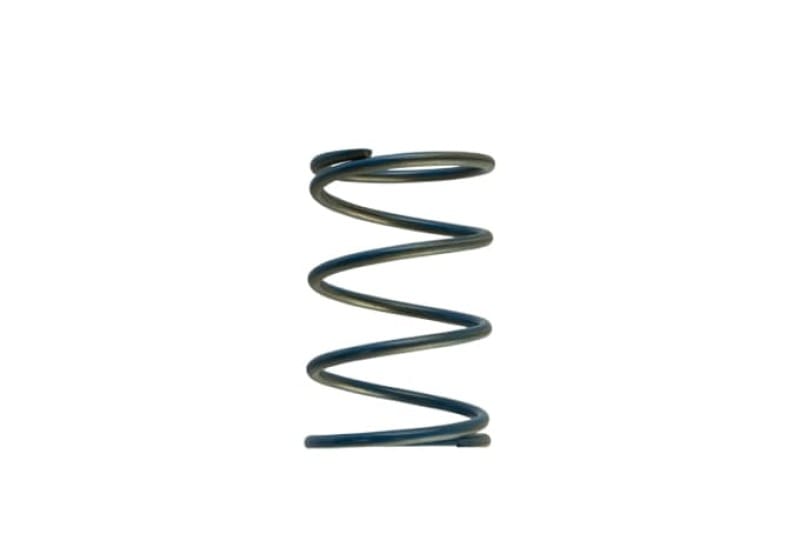 Turbosmart — Gen-V WG45/50 14psi Blue Outer Spring