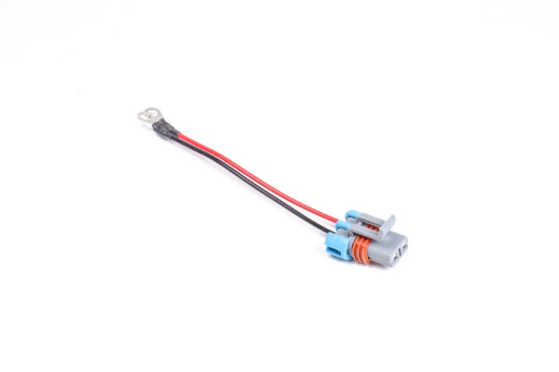 Radium Engineering — Internal wire harness for Walbro F90000267/274/285 pumps, with ring terminals.