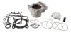 Cylinder Works — Cylinder Works 21-22 Gas-Gas EX 250 F 250cc Standard Bore Cylinder Kit