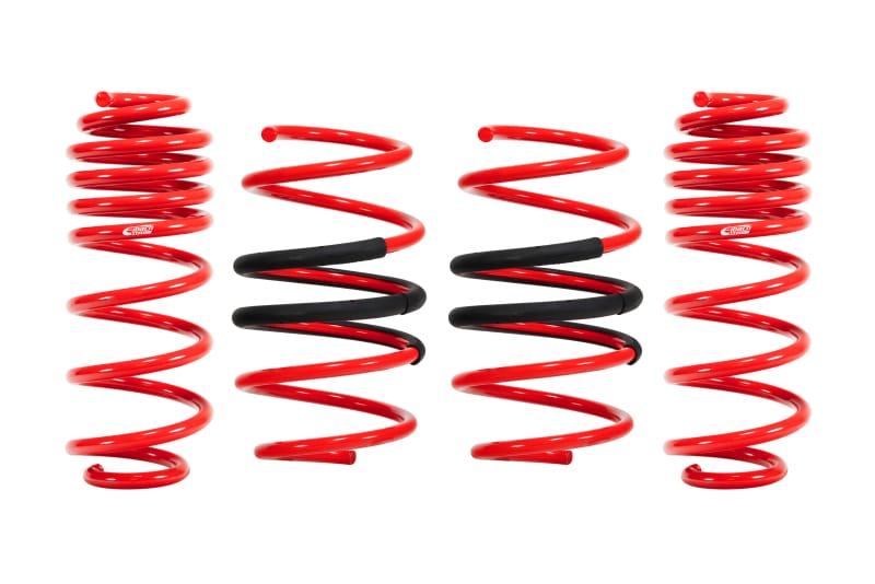 Eibach — Set of 4 Springs