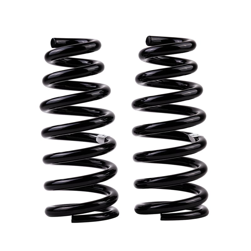 Old Man Emu — Front Coil Spring Set