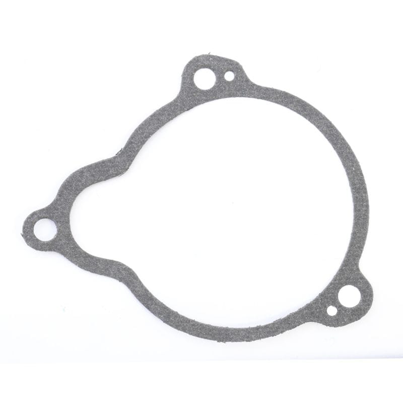 Athena — Athena Harley-Davidson Starter Drive Cover - Set of 10